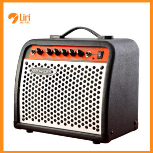 Fernandes FS-10 (2Hand)