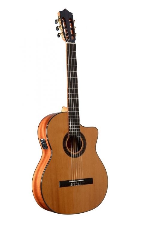 dan-guitar-classic-martinez-mc-4 (2)