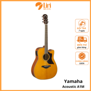 Đàn Guitar Acoustic Yamaha A1M - A Series