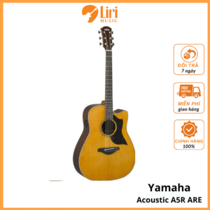 Đàn Guitar Acoustic Yamaha A5R ARE