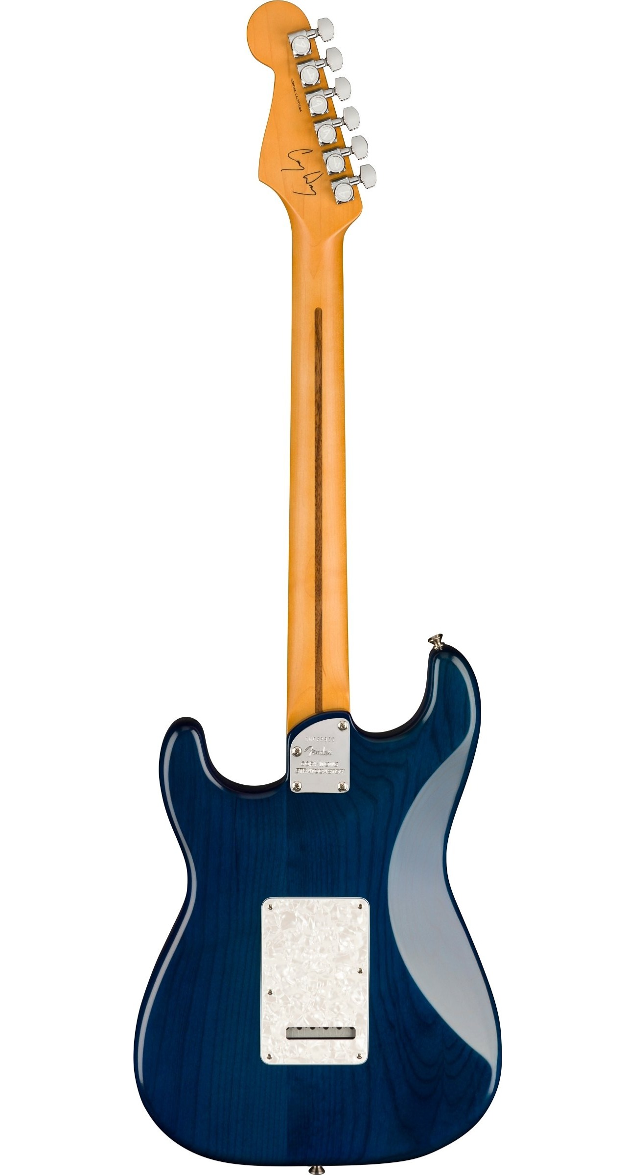 dan-dien-corywong-lung-hong28072