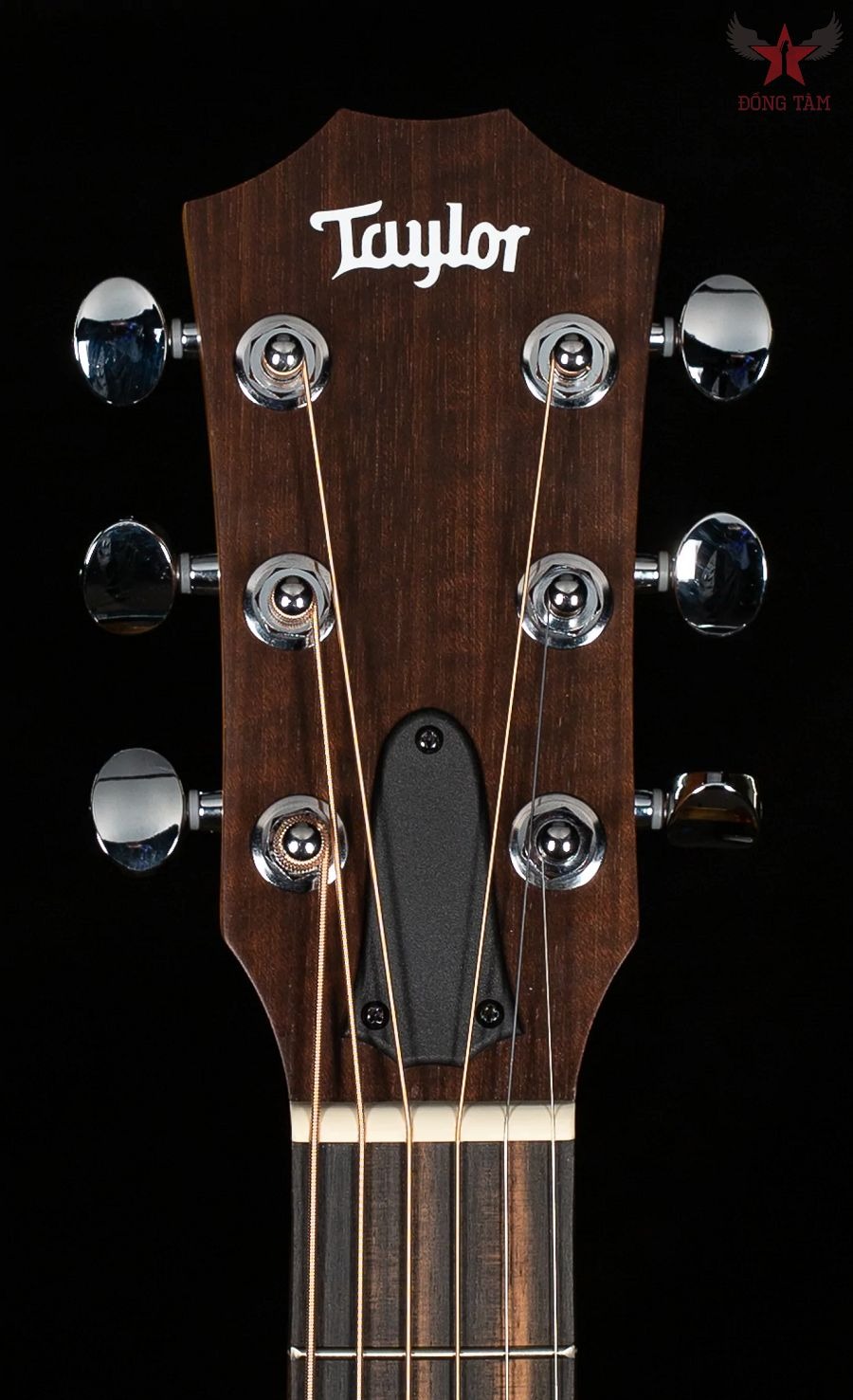 dan-guitar-acoustic-taylor-gs-mi