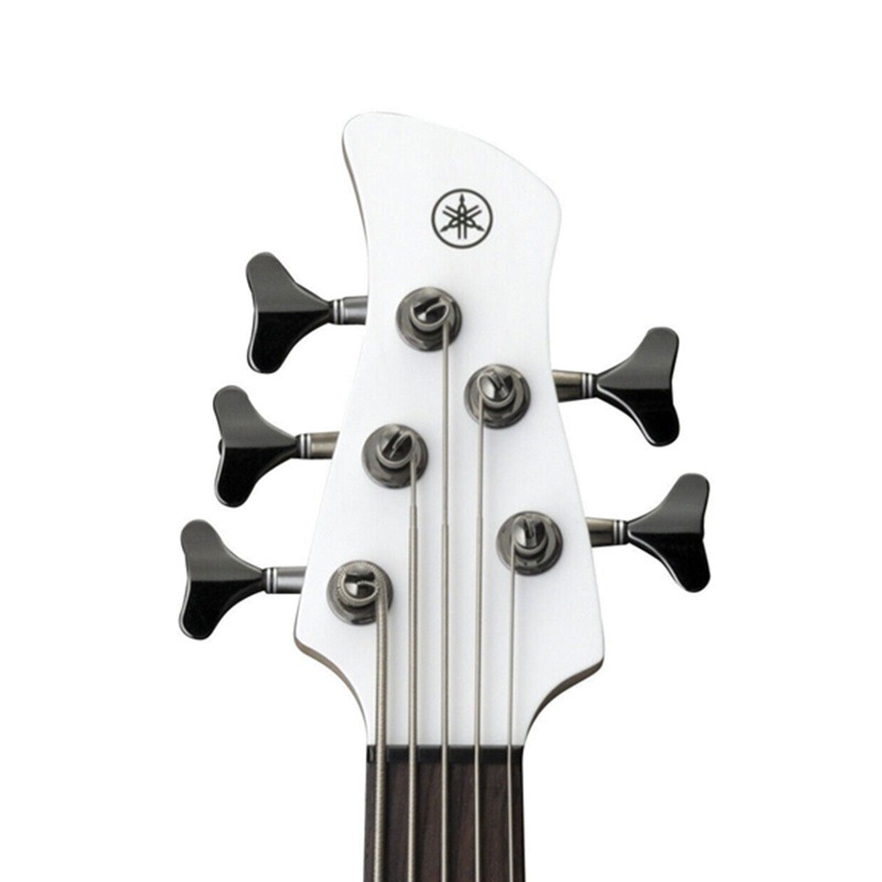 dan-guitar-bass-yamaha-trbx505-t (3)