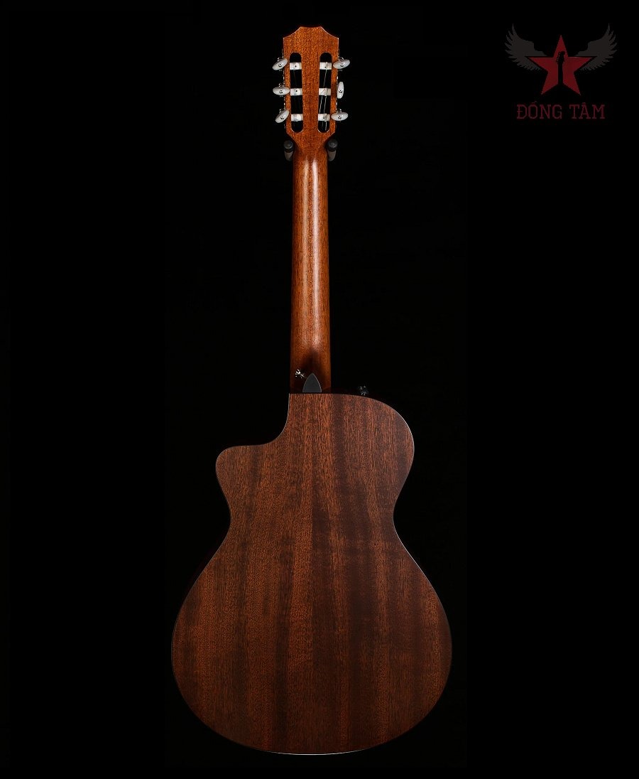 dan-guitar-taylor-312ce-n0209202