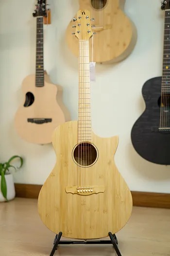 guitar-natasha-bamboo-ja-1