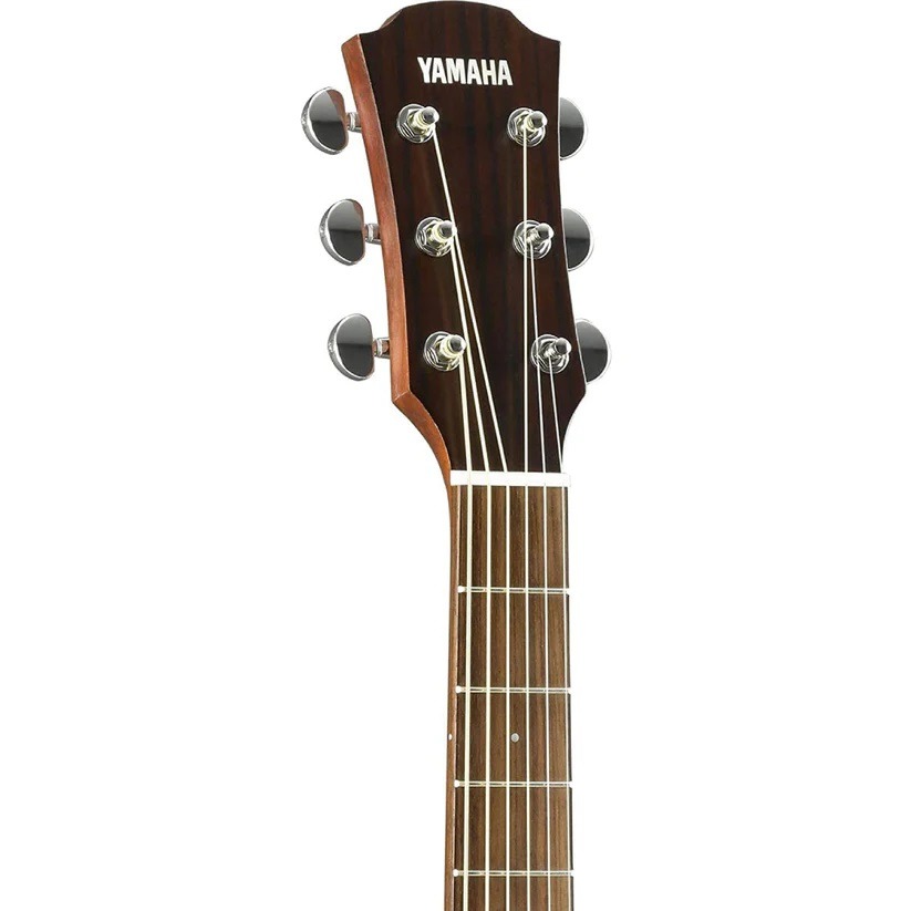 logo-dan-guitar-acoustic-yamaha (1)