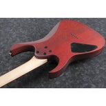 Ibanez RG Standard RG421PB (2)