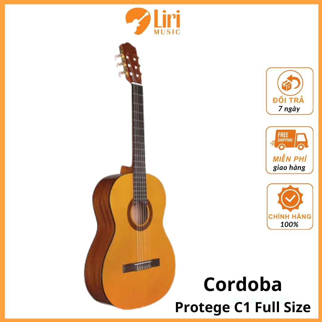 Cordoba Protege C1 Full Size